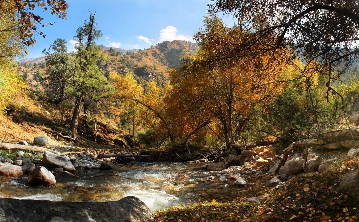 Команда туристов